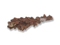 M 00031
<br/>
<br/>
<em></em>